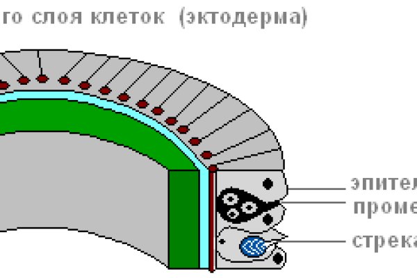 Как зайти на кракен даркнет