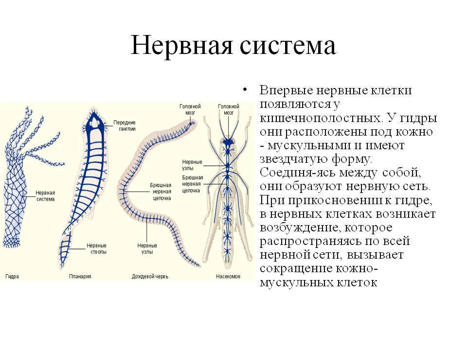 Наркоплощадки кракен